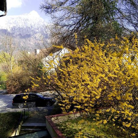 Ferienappartement Thumseestrasse Bad Reichenhall Exterior foto